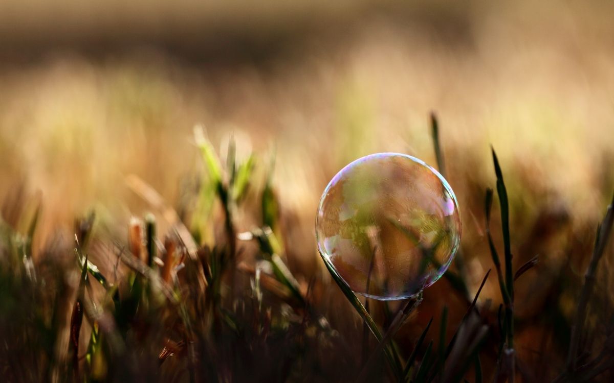 water drop on green grass during daytime