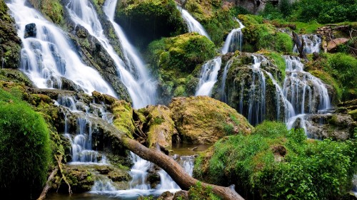 Image water falls on brown tree trunk