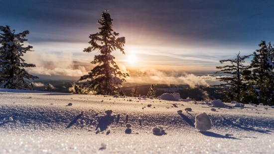 Image cloud, atmosphere, plant, tree, natural landscape
