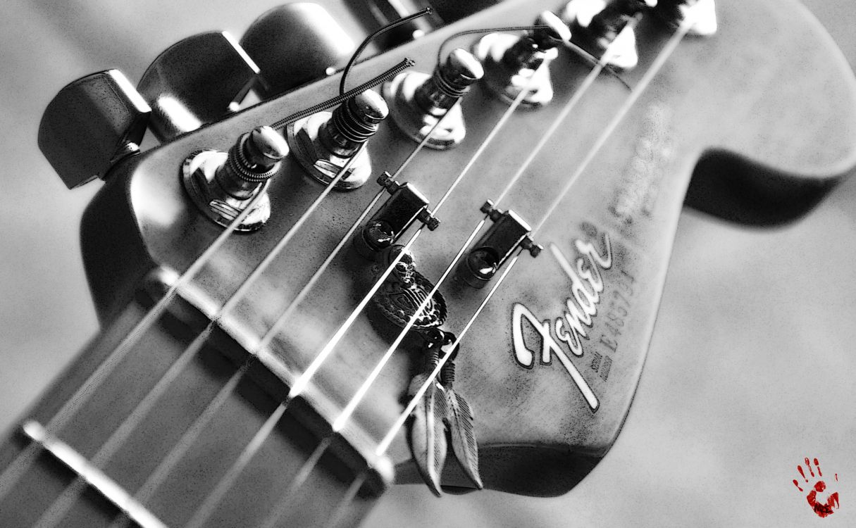 Gitarre, Fender Telecaster, Bass, Gezupfte Saiteninstrumente, Fender Standard Stratocaster. Wallpaper in 3348x2066 Resolution