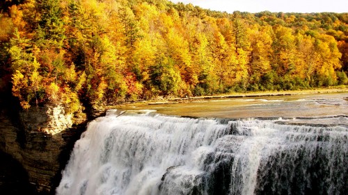 Image waterfalls in forest during daytime