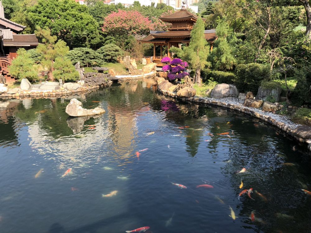 Hong Kong, Réflexion, Cours D'eau, Garden, D'eau. Wallpaper in 2048x1536 Resolution