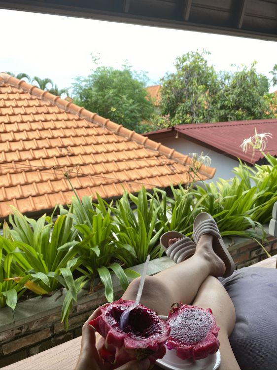 flora, roof, Slipper, foot, daylighting