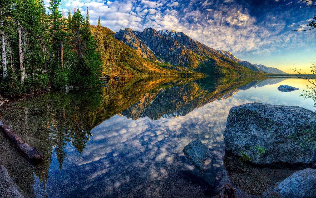 green trees near lake during daytime