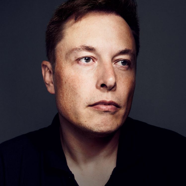 Elon Musk, Gesicht, Augenbraue, Stirn, Kinn. Wallpaper in 1481x1481 Resolution