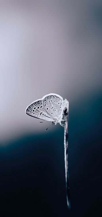 Wasser, Hand, Flüssigkeit, Feuchtigkeit, Sanitärarmatur. Wallpaper in 1421x3000 Resolution