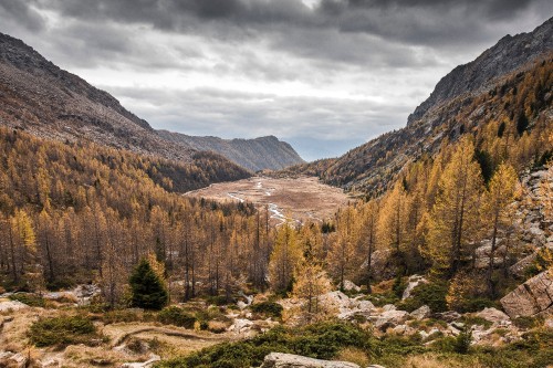 Image autumn bleak, autumn, nature, cloud, plant