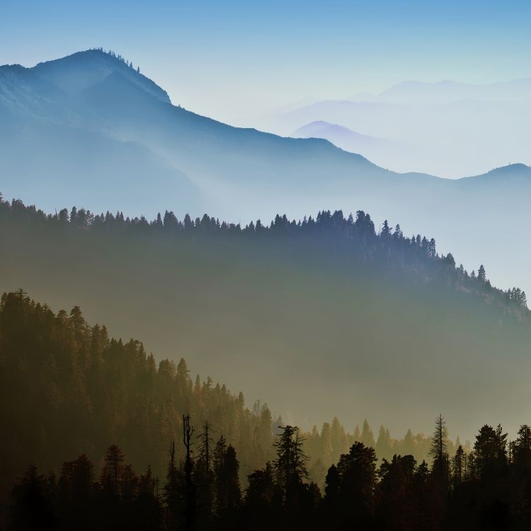 Bergkette, Atmosphäre, Baum, Natur, Naturlandschaft. Wallpaper in 2400x2400 Resolution