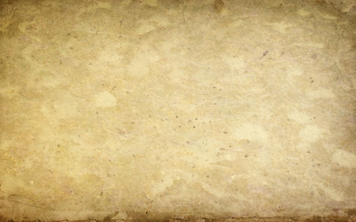 Persona Con Zapatos Negros de Pie Sobre un Piso Marrón. Wallpaper in 2560x1600 Resolution