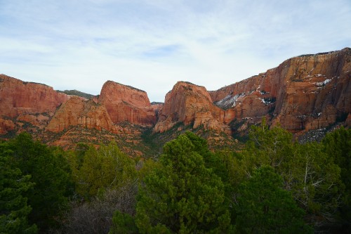 Image green trees near brown rock mountain during daytime