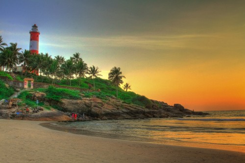 Image green coconut palm trees on beach during sunset