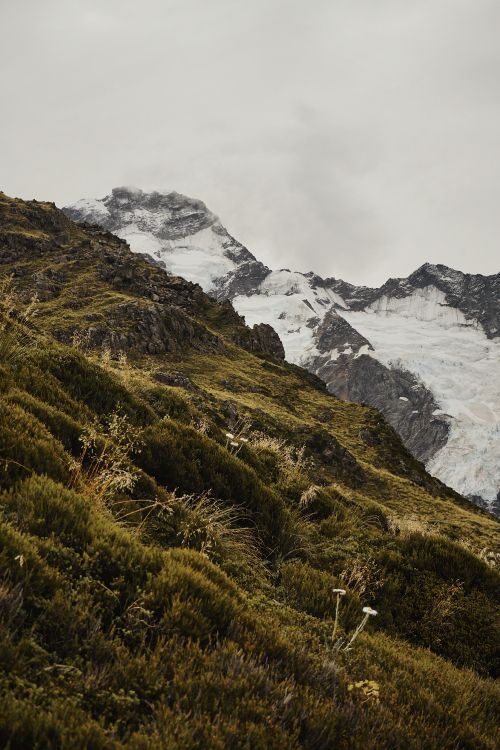Grat, Ste, Aoraki Mount Cook, Nationalpark, Fiel. Wallpaper in 4000x6000 Resolution