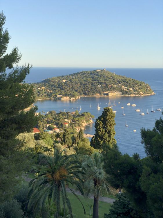 Saint-Jean-Cap-Ferrat, Mount Scenery, Wasser, Palme, Gewässer. Wallpaper in 1536x2048 Resolution