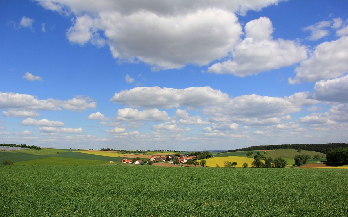 Champ D'herbe Verte Sous Ciel Bleu et Nuages Blancs Pendant la Journée. Wallpaper in 2560x1600 Resolution