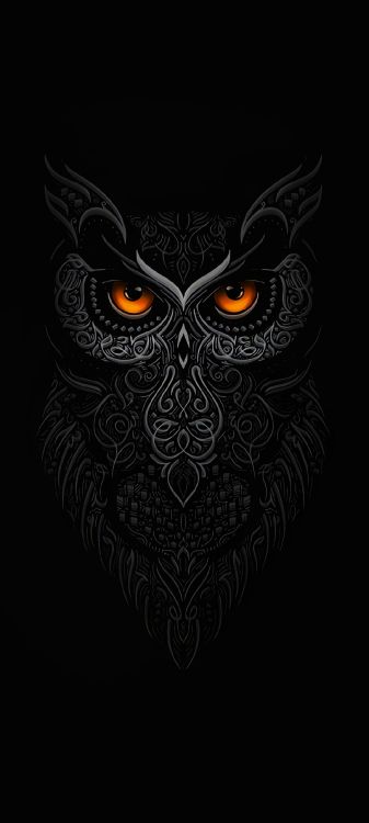 Pájaros, Cabeza, Gris, Arte, Ave. Wallpaper in 1080x2400 Resolution