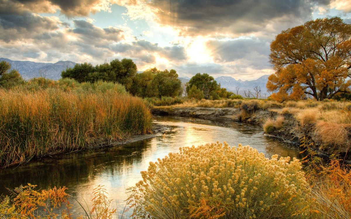 Fluss, Natur, Naturlandschaft, Natürlichen Umgebung, Bank. Wallpaper in 5120x3200 Resolution