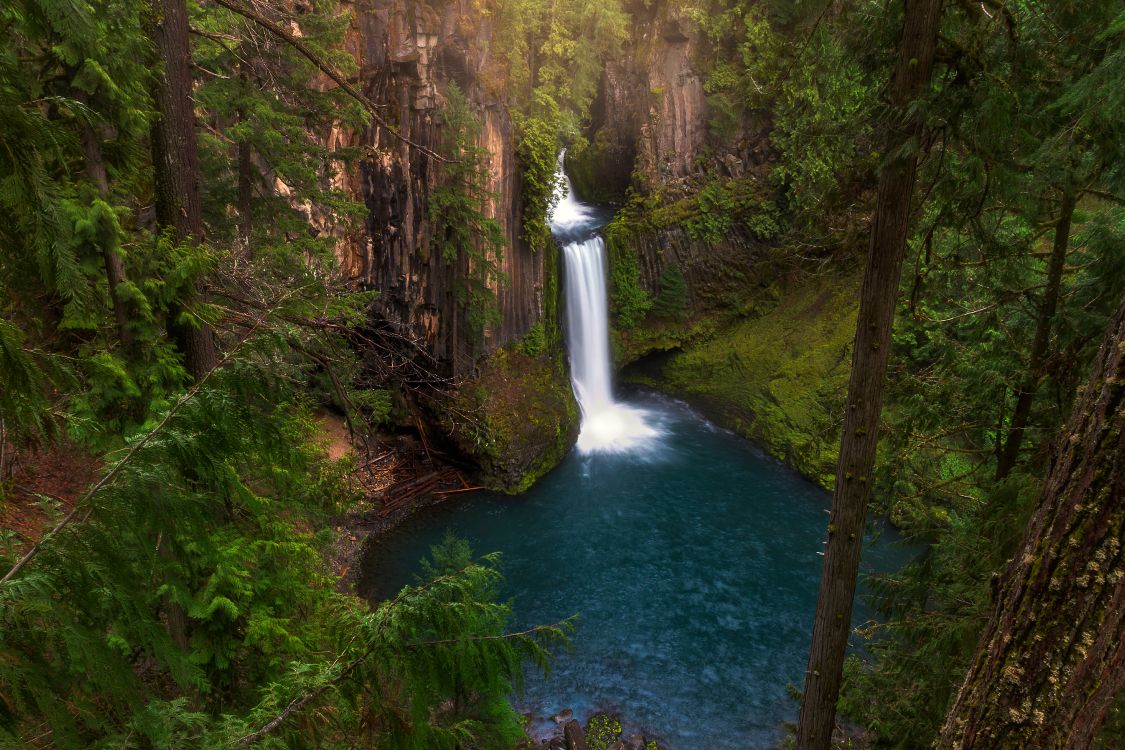 water falls in the middle of the forest