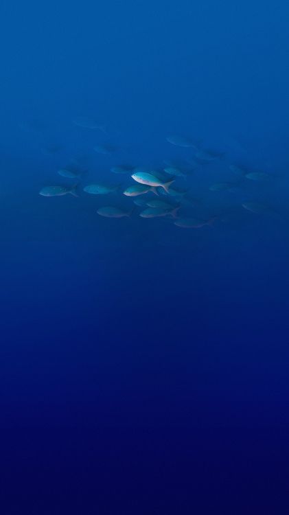 Elephone, Elephone P9000, Wasser, Daedalus Riff, Gewässer. Wallpaper in 1080x1920 Resolution