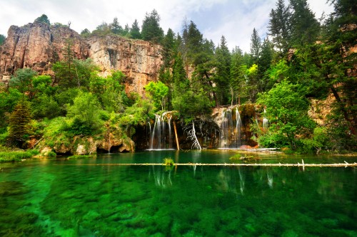 Image green trees near body of water during daytime