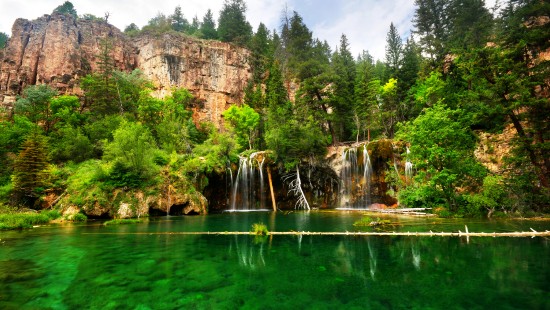 Image green trees near body of water during daytime