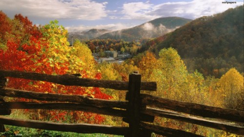 Image brown wooden fence near green trees during daytime