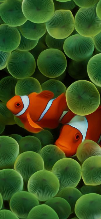 Äpfeln, Gr, Licht, Botanik, Natur. Wallpaper in 1125x2436 Resolution