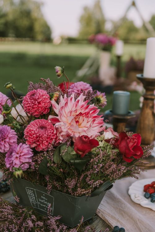 显花植物, 粉红色, 花卉设计, 花艺, 家庭 壁纸 4724x7078 允许