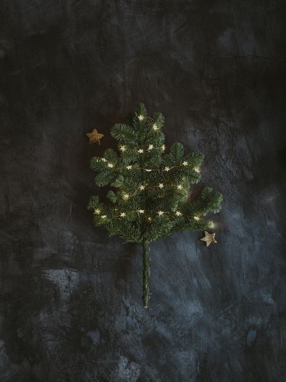 Baum, Branch, Raum, Textur, Weihnachten. Wallpaper in 6192x8256 Resolution