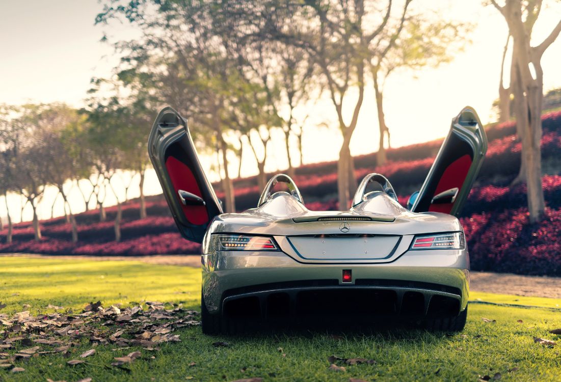 Voiture Ferrari Noir et Rouge Sur Terrain D'herbe Verte Pendant la Journée. Wallpaper in 4000x2724 Resolution
