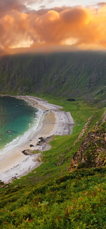 Image green trees beside body of water during daytime