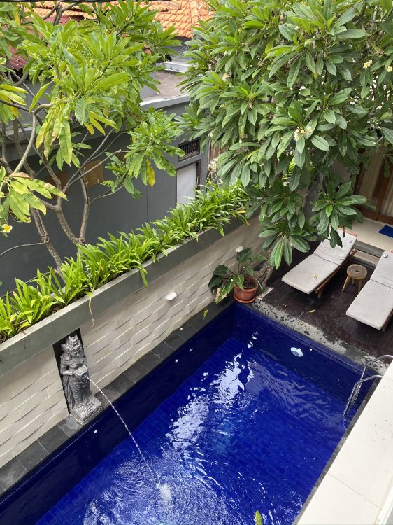 D'eau, Les Ressources en Eau, Étang, Eau, Bleu Majorelle. Wallpaper in 1536x2048 Resolution