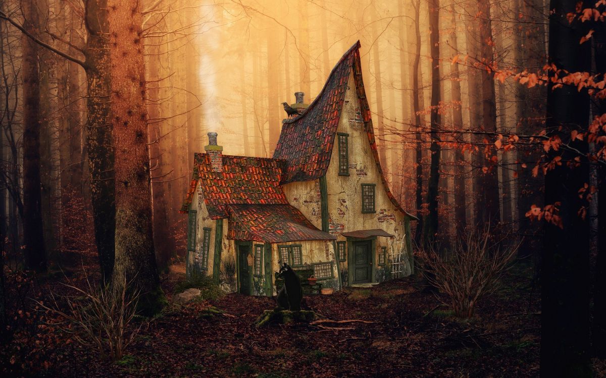 气氛, 窗口, 木, 自然景观, 树枝 壁纸 3000x1875 允许