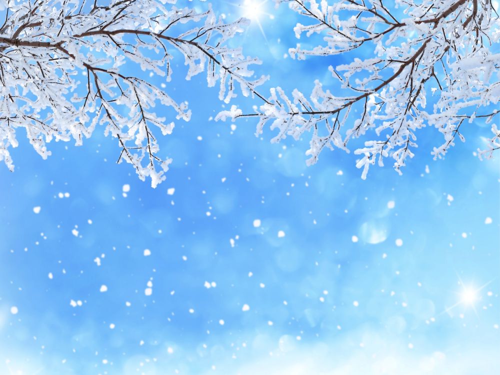 冬天, 季节, 颜色, 开花, 天空 壁纸 5200x3900 允许