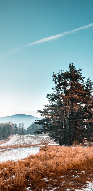 Image natural landscape, nature, winter, tree, snow