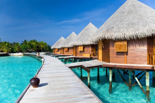 Image brown wooden house near swimming pool during daytime