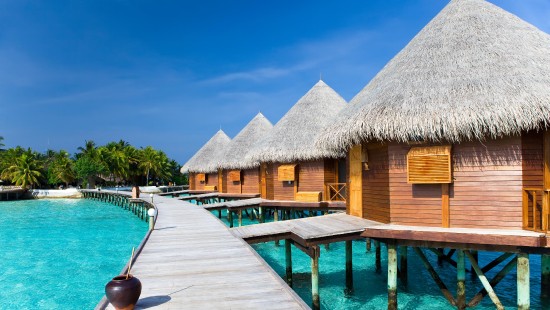 Image brown wooden house near swimming pool during daytime