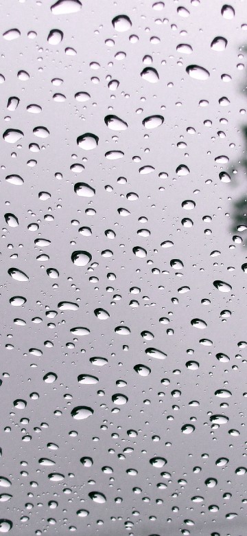 湿气壁纸iphone X Xs 湿气高清图片 1125x2436 免费下载图片