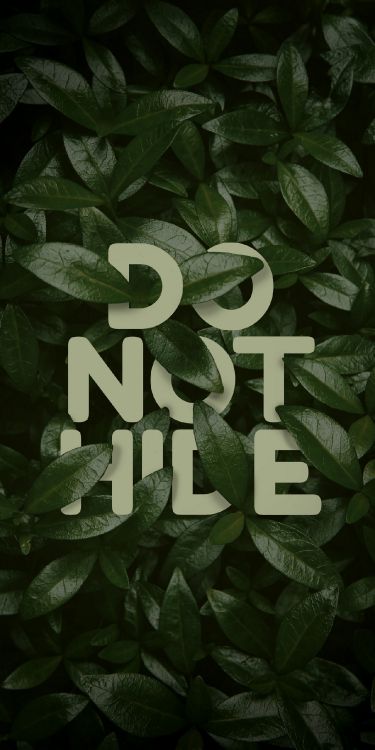 Amor vs Diseño, Planta Terrestre, Publicación, Patrón, la Cubierta Vegetal. Wallpaper in 1282x2560 Resolution