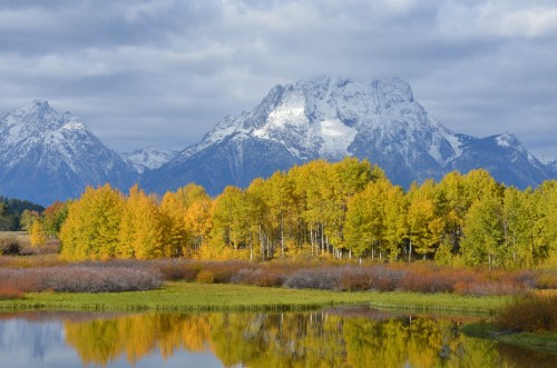 Image green trees near lake and mountain during daytime