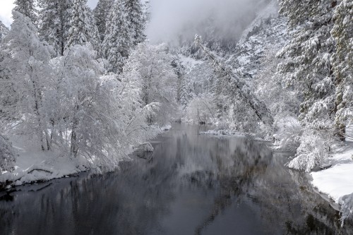 Image winter, forest, snow, water feature, stream