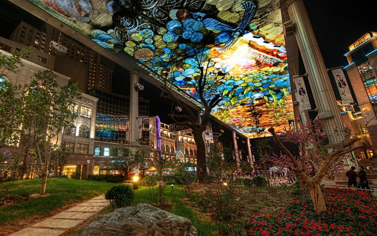 Plantas Verdes Cerca Del Edificio de Hormigón Marrón Durante la Noche. Wallpaper in 2560x1600 Resolution