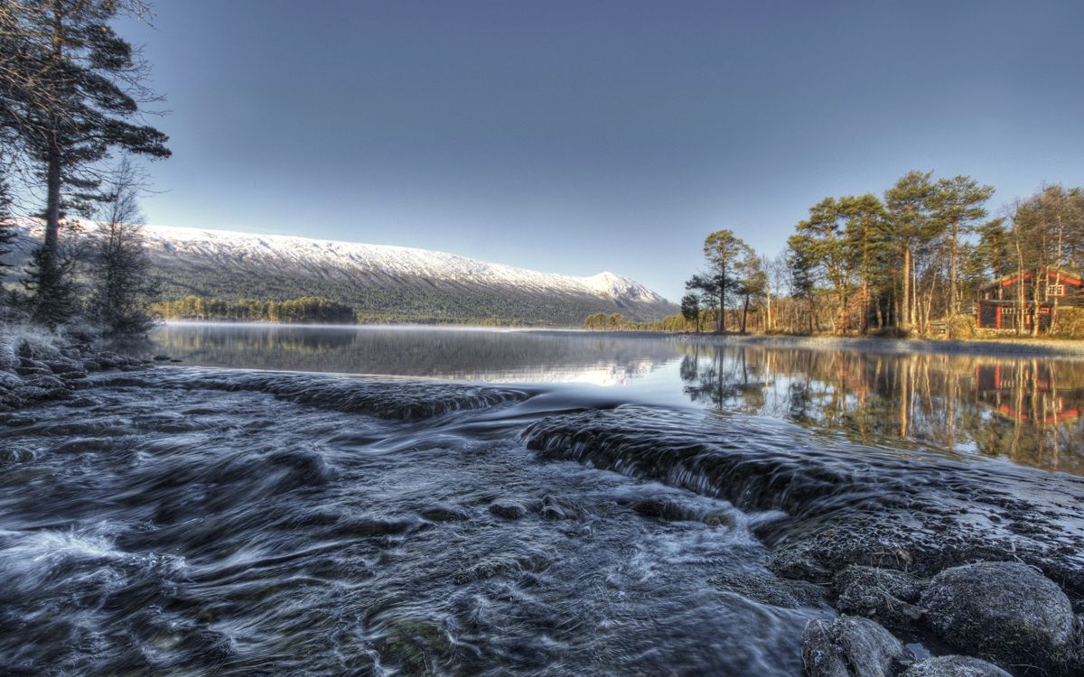 风景画, 图书馆, 人体内的水, 性质, 水资源 壁纸 2560x1600 允许