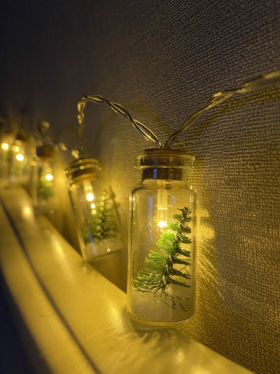 Luz, la Física, Irrompible, Naturaleza, Sucursal. Wallpaper in 1536x2048 Resolution