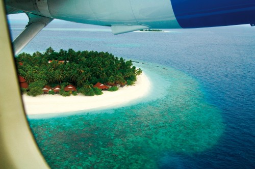 Image green trees on white sand beach during daytime