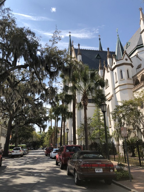 Image tree, science, spire, automotive parking light, steeple