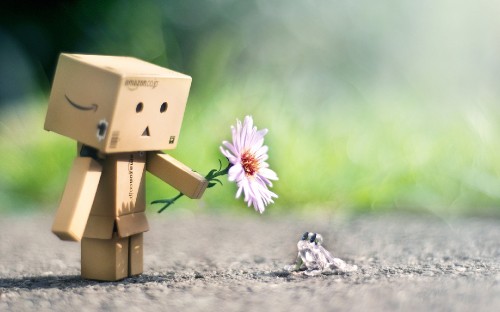 Image brown cardboard box with white flower