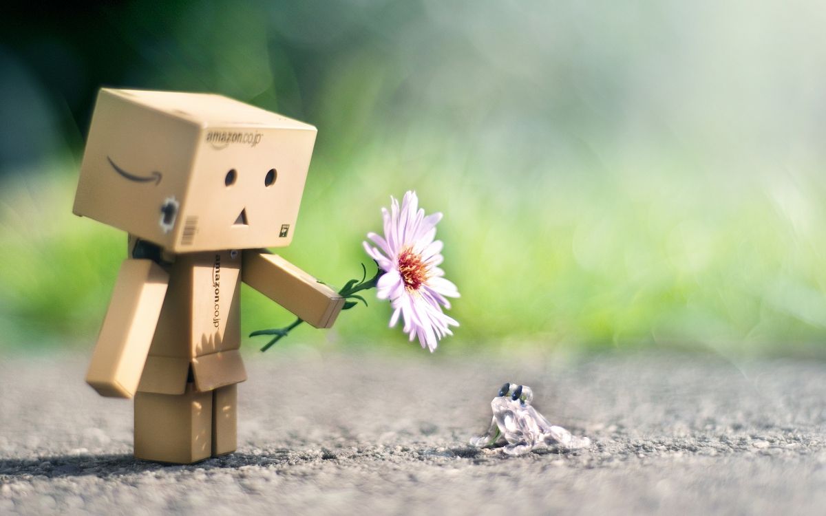 brown cardboard box with white flower