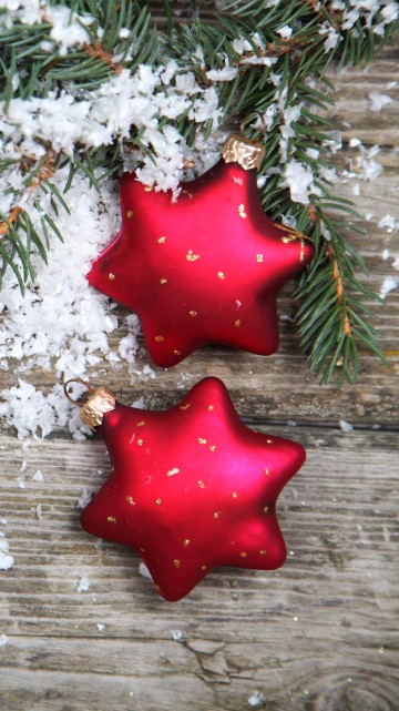 Image Christmas Day, christmas tree, christmas ornament, fir, new year