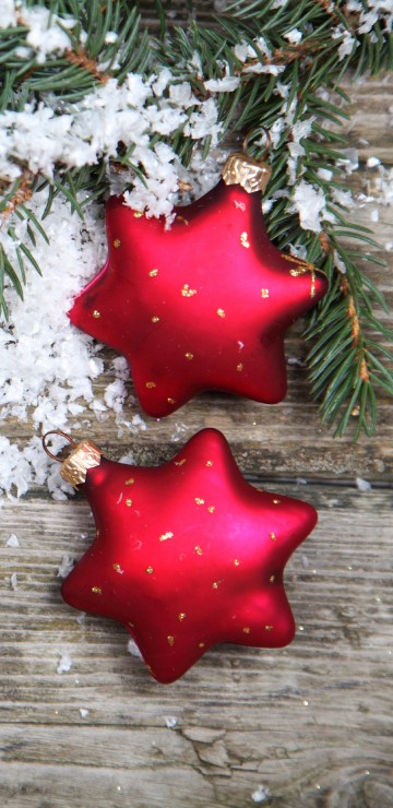 Image Christmas Day, christmas tree, christmas ornament, fir, new year