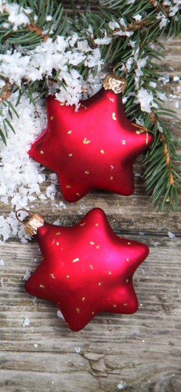 Image Christmas Day, christmas tree, christmas ornament, fir, new year